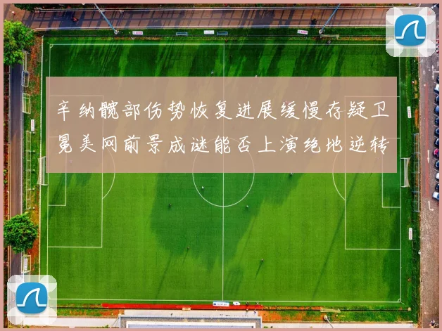 辛纳髋部伤势恢复进展缓慢存疑卫冕美网前景成谜能否上演绝地逆转好戏